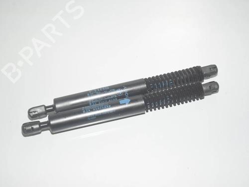 tailgate-lift-support-bmw-5-touring-f11-2009-2010-2011-2012-2013-2014-2015-2016-2017-34077069 main image