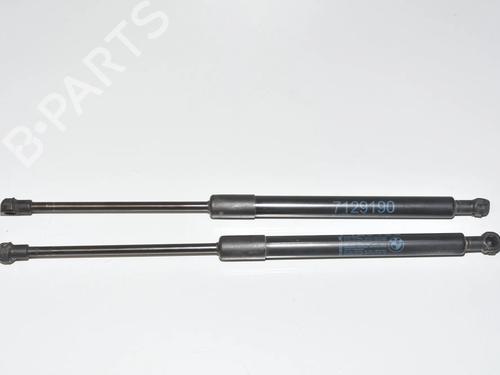 hood-lift-support-bmw-3-e90-2004-2005-2006-2007-2008-2009-2010-2011-2012-34090839 main image