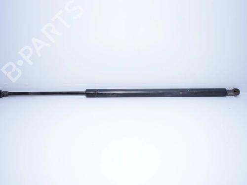 tailgate-lift-support-bmw-x5-e53-2000-2001-2002-2003-2004-2005-2006-34089759 main image