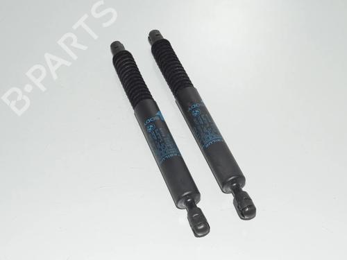 tailgate-lift-support-bmw-5-touring-f11-2009-2010-2011-2012-2013-2014-2015-2016-2017-34078977 main image