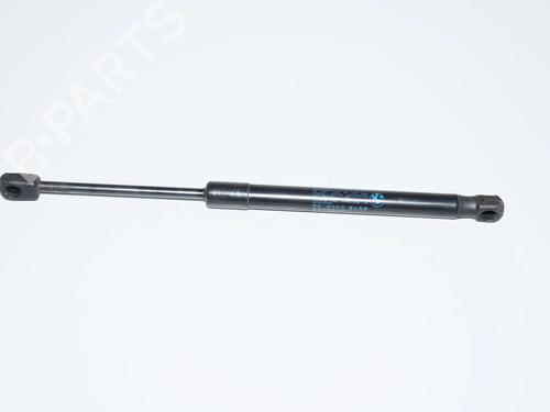 hood-lift-support-bmw-i3-i01-2013-34069825 main image