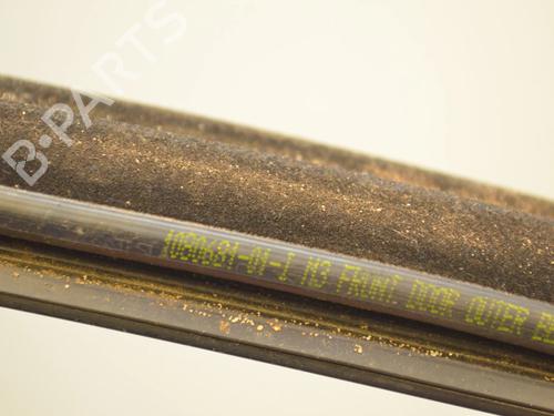 Dørliste TESLA MODEL 3 (5YJ3) EV | BP34077370C150  - Image 5