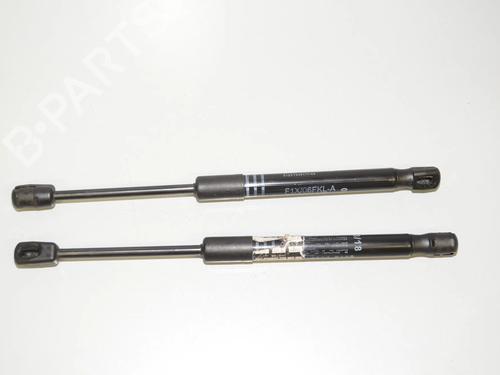 hood-lift-support-bmw-5-touring-f11-2009-2010-2011-2012-2013-2014-2015-2016-2017-34091052 main image