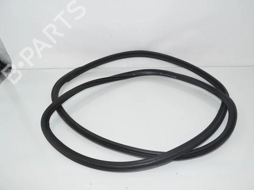 Gummiliste BMW 5 Touring (G31) 520 d | BP34061411C142 - Image 3