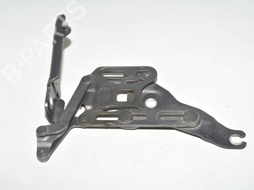Hinge/Door check strap BMW X6 (E71, E72) xDrive 35 d | BP34071743C146 - Image 2