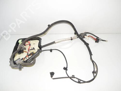 Used Wiring harness Wiring harness BMW 5 Touring (F11) 525 d (204 hp) 34069740 34069740