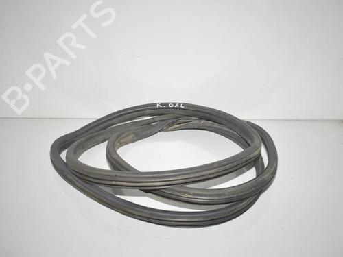 rubber-door-seal-bmw-x5-e70-2006-2007-2008-2009-2010-2011-2012-2013-34067170 main image