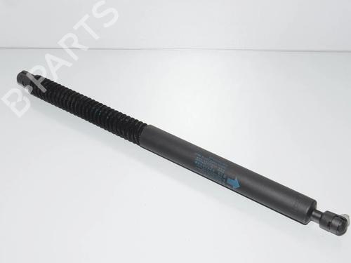 tailgate-lift-support-bmw-6-gran-coupe-f06-2012-2013-2014-2015-2016-2017-2018-34072375 main image