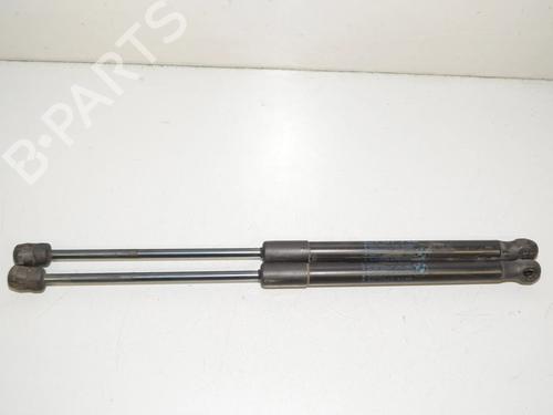 hood-lift-support-bmw-x5-e70-2006-2007-2008-2009-2010-2011-2012-2013-34079245 main image