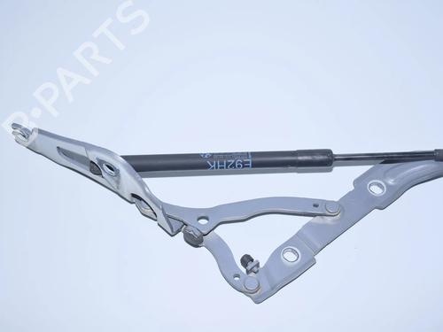 hingedoor-check-strap-bmw-3-coupe-e92-2005-2006-2007-2008-2009-2010-2011-2012-2013-34066116 main image