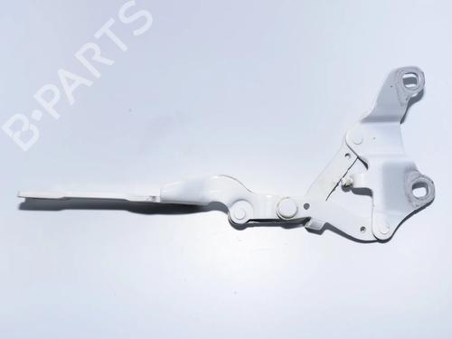 hingedoor-check-strap-bmw-3-coupe-e92-2005-2006-2007-2008-2009-2010-2011-2012-2013-34085049 main image