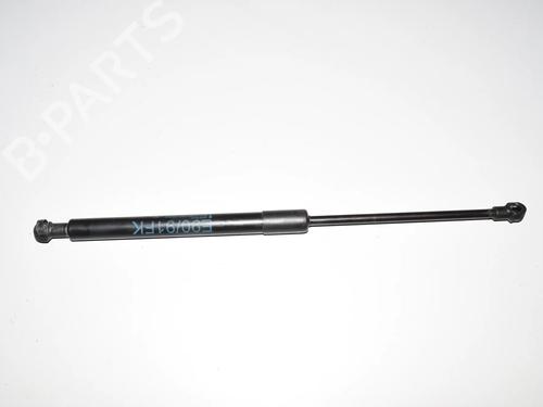 hood-lift-support-bmw-3-touring-e91-2004-2005-2006-2007-2008-2009-2010-2011-2012-34094440 main image