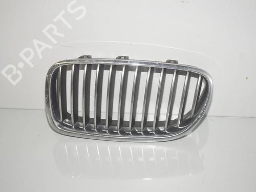 grille-bmw-5-touring-f11-2009-2010-2011-2012-2013-2014-2015-2016-2017-34062781 main image