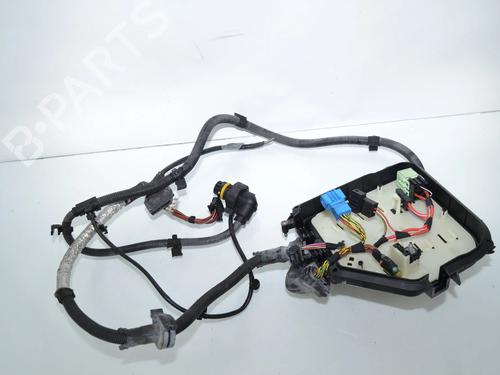Used Wiring harness Wiring harness BMW 5 Touring (F11) 530 d (245 hp) 34069915 34069915