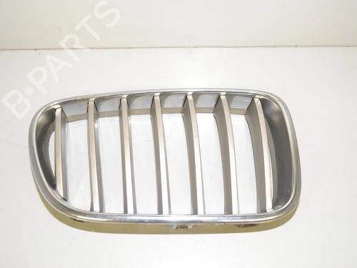 grille-bmw-x3-f25-2010-2011-2012-2013-2014-2015-2016-2017-34082242 main image