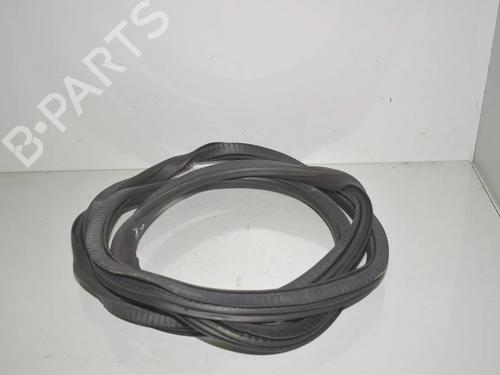 Gummiliste BMW 5 Touring (G31) M 550 d xDrive | BP34078360C142 - Image 3
