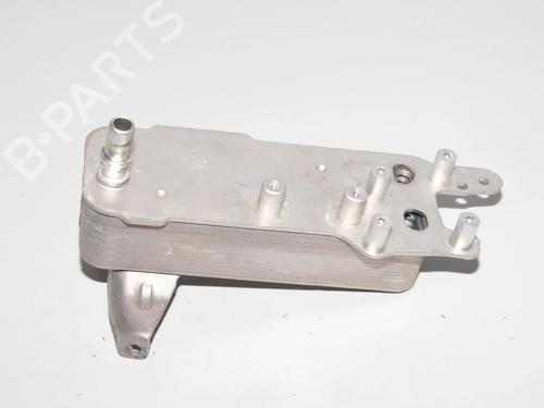 Used Oil radiator Oil radiator BMW 5 (G30, F90) 530 i xDrive (252 hp) 34092831 34092831