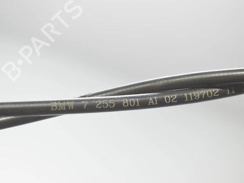 Cable BMW 5 (F10) M5 | BP34072341E12  - Image 5
