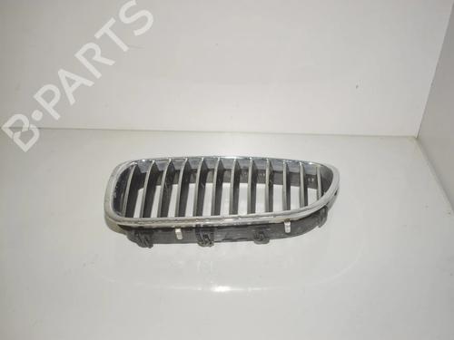 grille-bmw-5-touring-f11-2009-2010-2011-2012-2013-2014-2015-2016-2017-34079522 main image