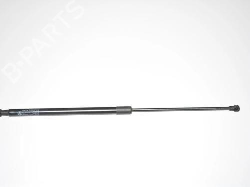 gassdemper-bakluke-bmw-i3-i01-2013-34068744 main image