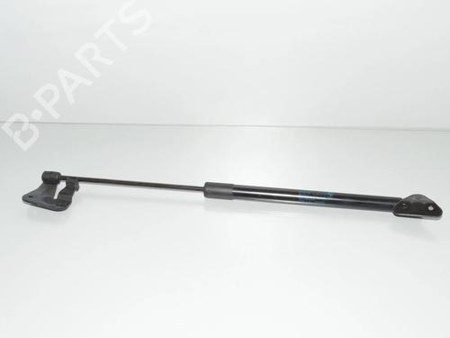 Tailgate lift support BMW X1 (E84) xDrive 20 i | BP34072576C138 - Image 3