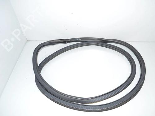Gummiliste BMW 5 Touring (G31) 520 d | BP34079219C142 - Image 2