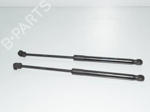 hood-lift-support-bmw-x6-e71-e72-2007-2008-2009-2010-2011-2012-2013-2014-2015-34078679 main image