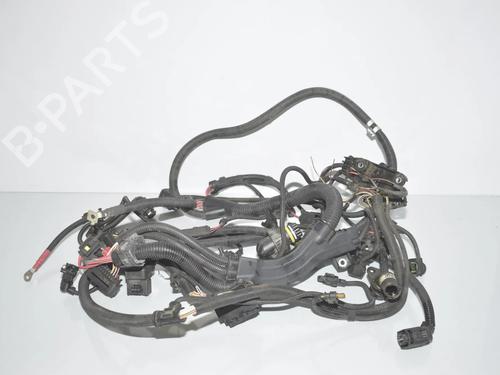 Used Wiring harness Wiring harness BMW X3 (F25) xDrive 35 i (306 hp) 34066804 34066804