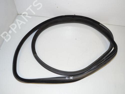 rubber-door-seal-bmw-x6-e71-e72-2007-2008-2009-2010-2011-2012-2013-2014-2015-34090665 main image