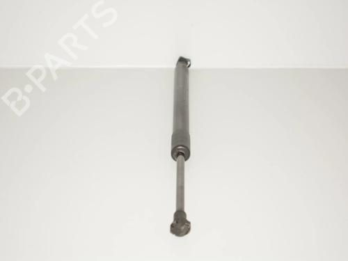 tailgate-lift-support-bmw-3-coupe-e92-2005-2006-2007-2008-2009-2010-2011-2012-2013-34071533 main image