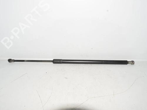 Tailgate lift support BMW X5 (E53) 3.0 i | BP34082519C138 - Image 3