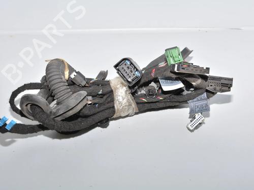 Used Wiring harness Wiring harness BMW 7 (E65, E66, E67) 750 i, Li (367 hp) 34096871 34096871