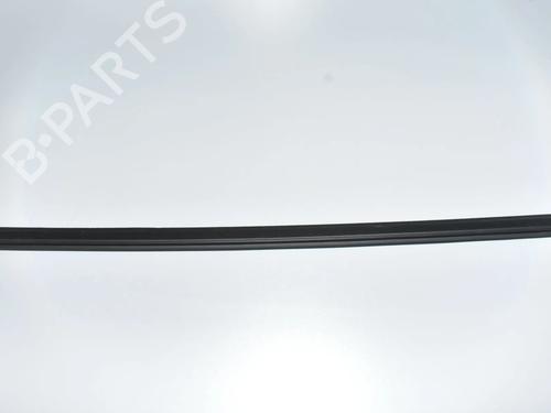 rubber-door-seal-bmw-x3-f25-2010-2011-2012-2013-2014-2015-2016-2017-34066045 main image