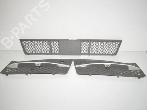 grille-bmw-5-touring-f11-2009-2010-2011-2012-2013-2014-2015-2016-2017-34069327 main image