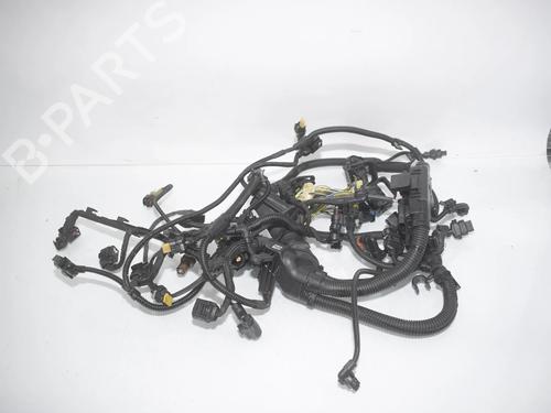 Used Wiring harness Wiring harness BMW 2 Gran Tourer (F46) 220 d xDrive (190 hp) 40194567 40194567