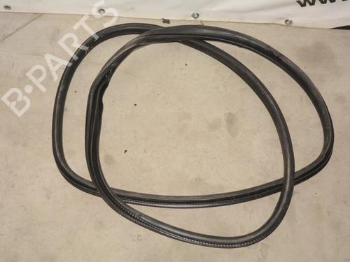 rubber-door-seal-bmw-x3-f25-2010-2011-2012-2013-2014-2015-2016-2017-34070283 main image