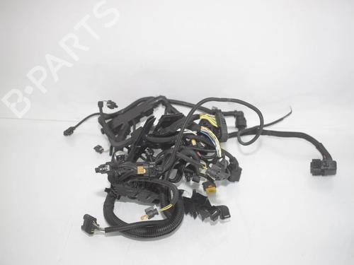 Faisceau de câbles Faisceau de câbles BMW 2 Active Tourer (F45) 218 i (136 hp) 39885052 39885052