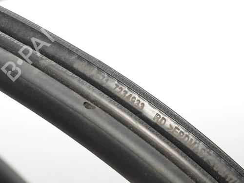 Gummiliste BMW X6 (E71, E72) xDrive 50 i | BP34068829C142 - Image 4
