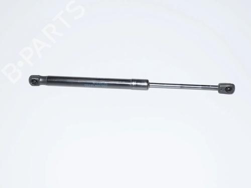 hood-lift-support-bmw-i3-i01-2013-34070019 main image