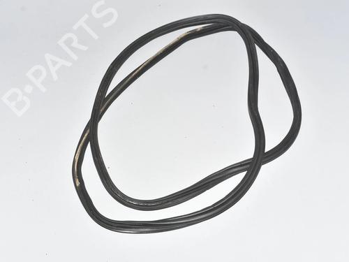 rubber-door-seal-bmw-x6-e71-e72-2007-2008-2009-2010-2011-2012-2013-2014-2015-34075515 main image