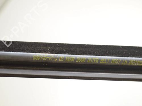 Dørliste TESLA MODEL 3 (5YJ3) EV | BP34078936C150  - Image 5