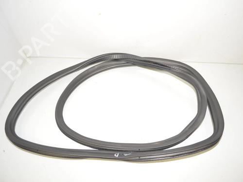 Gummiliste BMW 5 Touring (G31) M 550 d xDrive | BP34092505C142 - Image 2