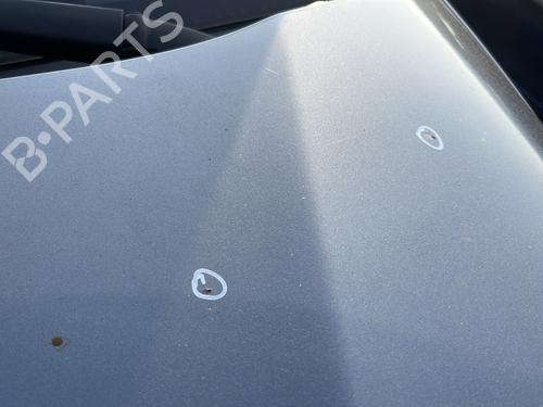 hood-citroen-c3-ii-sc_-2009-33604009 main image