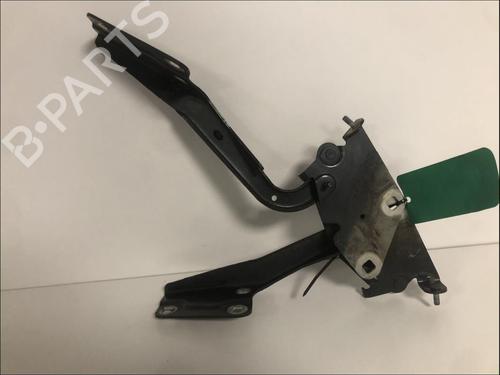 hingedoor-check-strap-renault-megane-iii-hatchback-bz01_-b3_-2008-33584997 main image