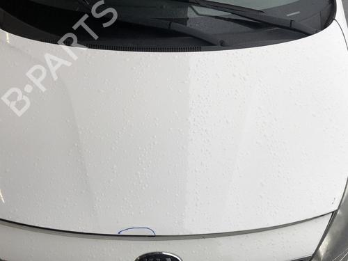 Used Hood Hood KIA RIO III (UB) 1.4 CRDi (90 hp) 33601212 33601212