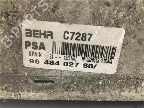 Used Intercooler Intercooler PEUGEOT 206 CC (2D) 1.6 HDi 110 (109 hp) 33577998 33577998