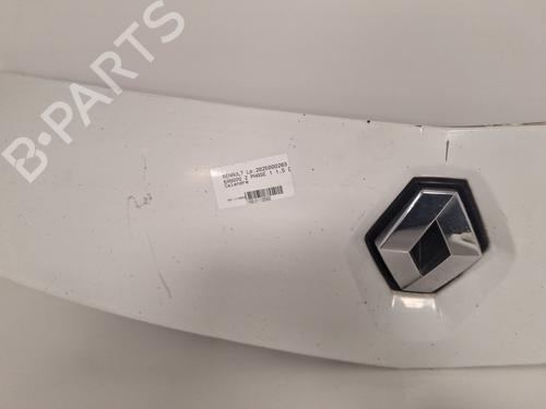 grille-renault-kangoo-express-fw01_-2008-36941976 main image