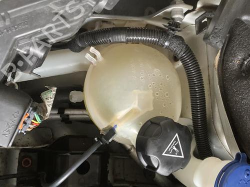Ekpansionstank Ekpansionstank PEUGEOT 208 I (CA_, CC_) 1.4 HDi (68 hp) 36579890 36579890