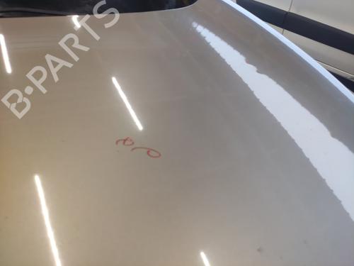 hood-renault-megane-iii-hatchback-bz01_-b3_-2008-33595220 main image