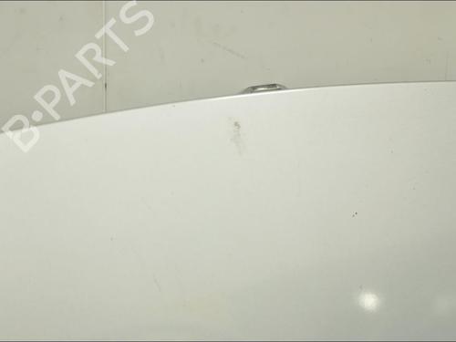 Used Hood Hood RENAULT SCÉNIC II (JM0/1_) [2003-2010] 33573001 33573001